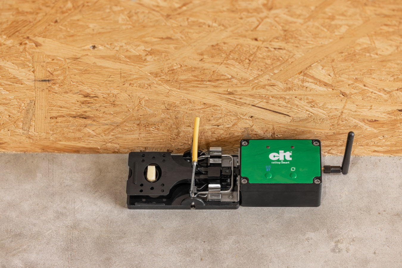 Trappola per topi smart cit ratstop