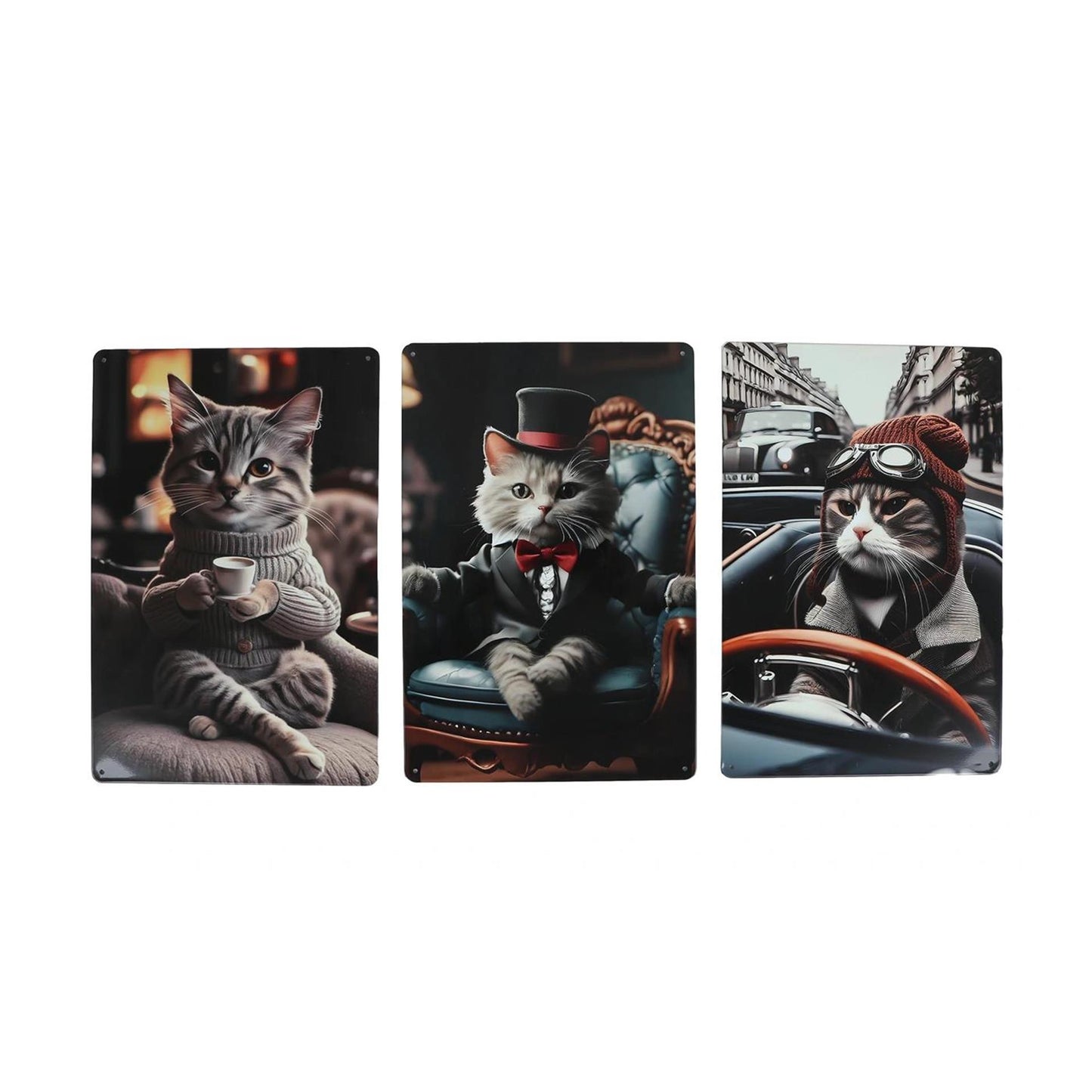 Placa de pared caballeros gato metal 20x30cm