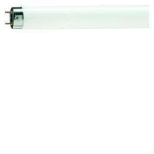 Tubo fluorescente Philips 8w 10 uv-a philips insetto 5900540
