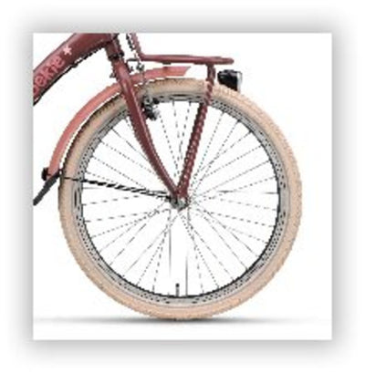 Ruota anteriore Batavus 22 cerchio star_nero