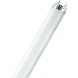 Sram fluorescentielampen o lumilux t8 g13 koel wit 18w