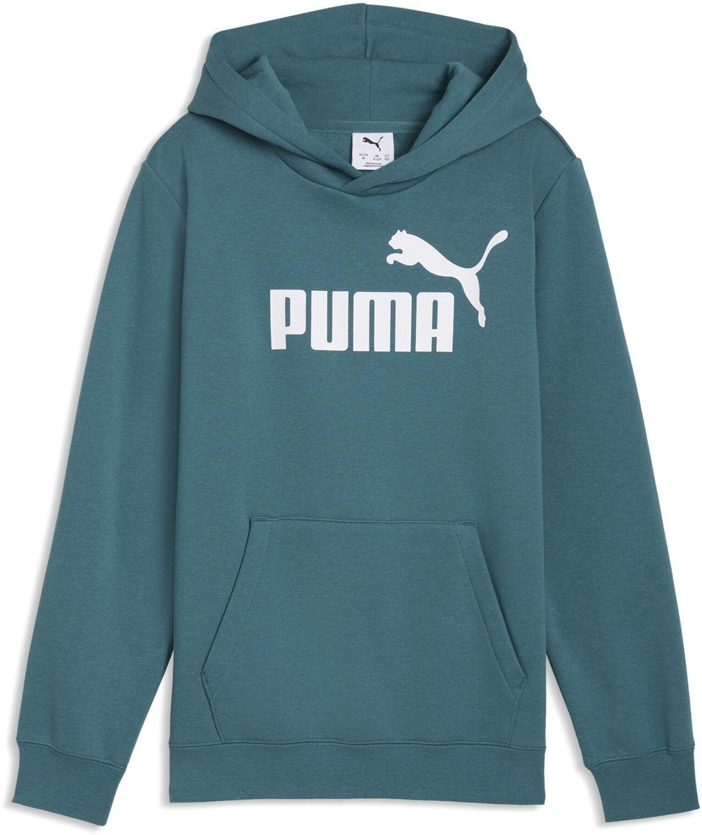 Puma ess no. 1 sudadera con capucha con logo fl b suéter unisex - hielo esmeralda