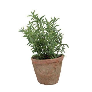 Esschert Design Thyme in teracotta anziana