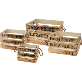 Set di scatole di 4 Paulownia Wood