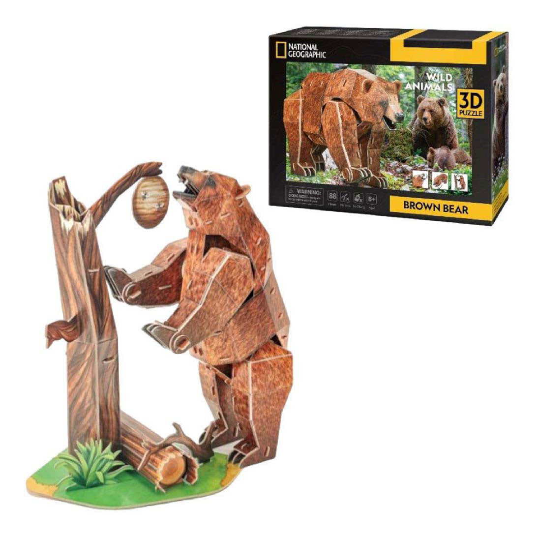 Orso bruno geografico 3D di divertimento cubico