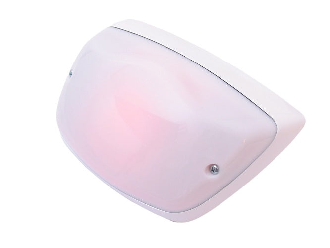 Luce posteriore del bordo LX50 125 150 White Edition
