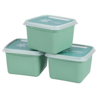 DBP DBP Alaska Scatole congelate quadrate 0,75L 3 pezzi Mint Green