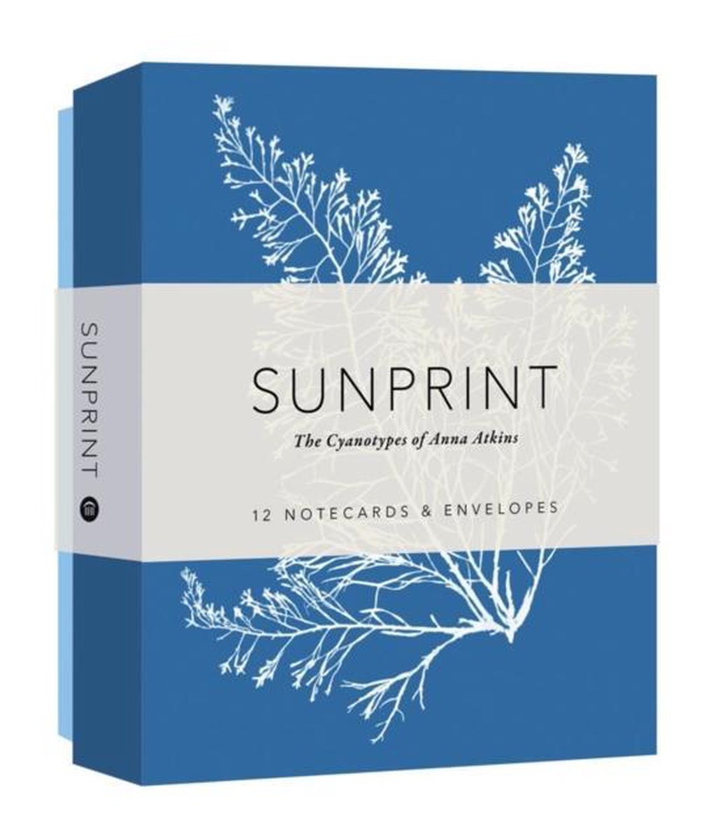 Biglietti per appunti Sunprint