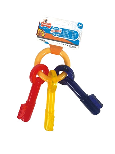 Puppy Puppy Chew Bit Keys Bacones