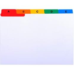 Schede exacompta 13997e a7 cartoncino
