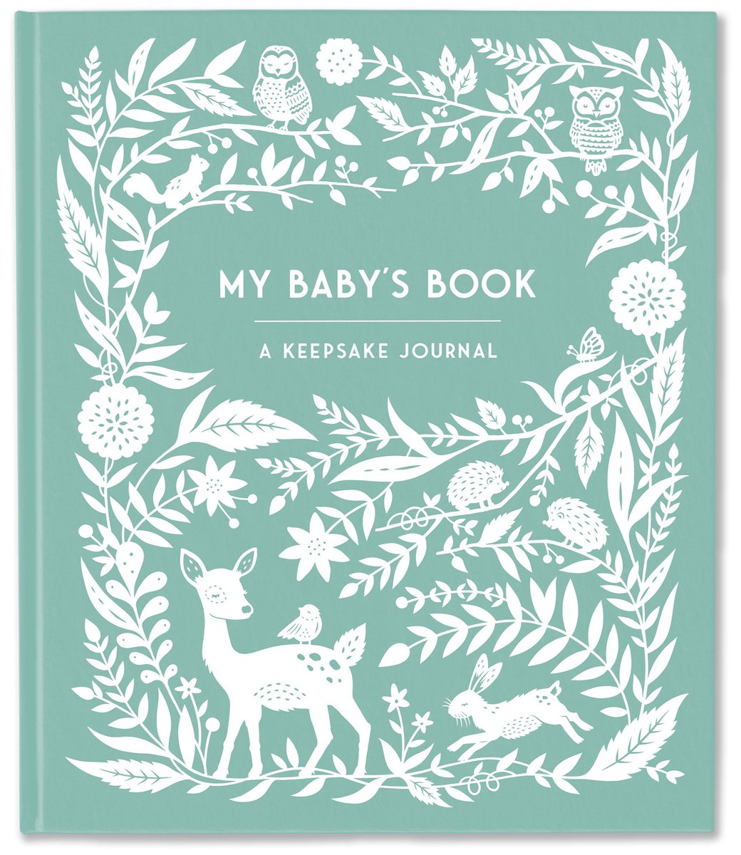 Diarios heredados de recuerdo: el libro de mi bebé