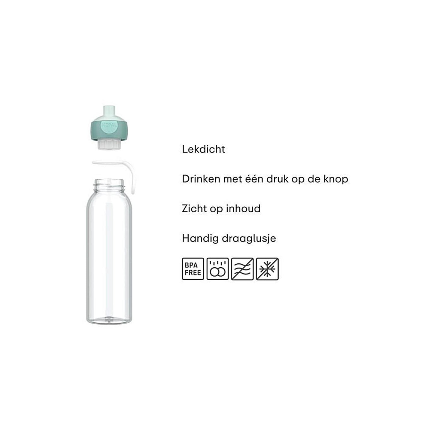 Bottle d'acqua pop - UP Campus 500 ml - fresco menta