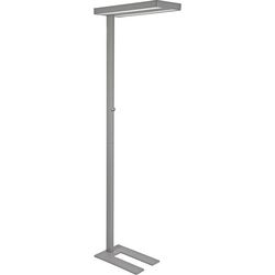 Lampada maul mauljaval led