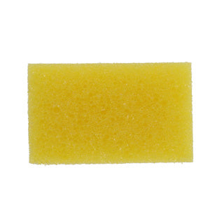 Remover per insetti di sponge automobilistica