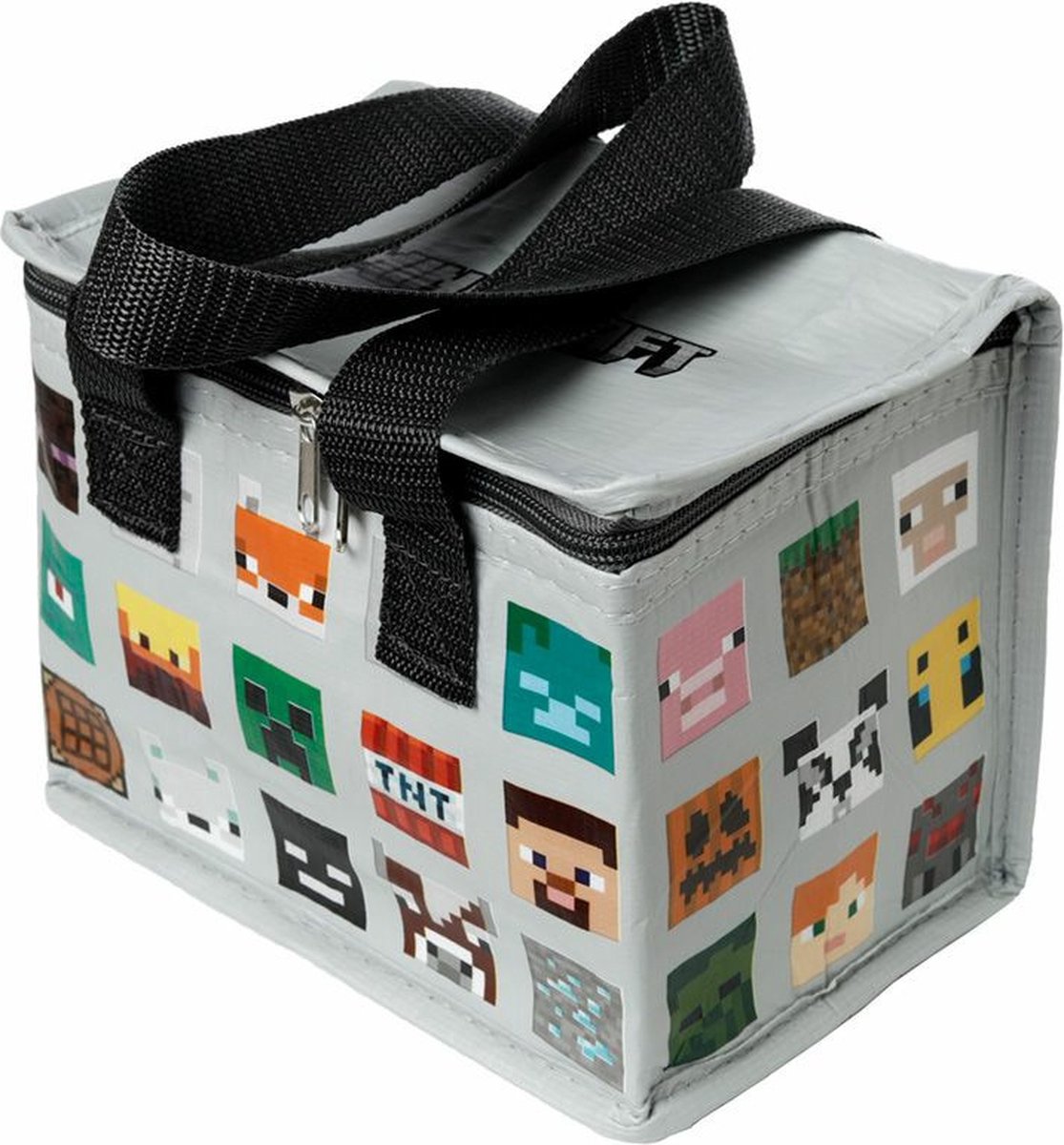 Massoccia di Minecraft RPET REFURE REGLIERA PRANZA PRANZA