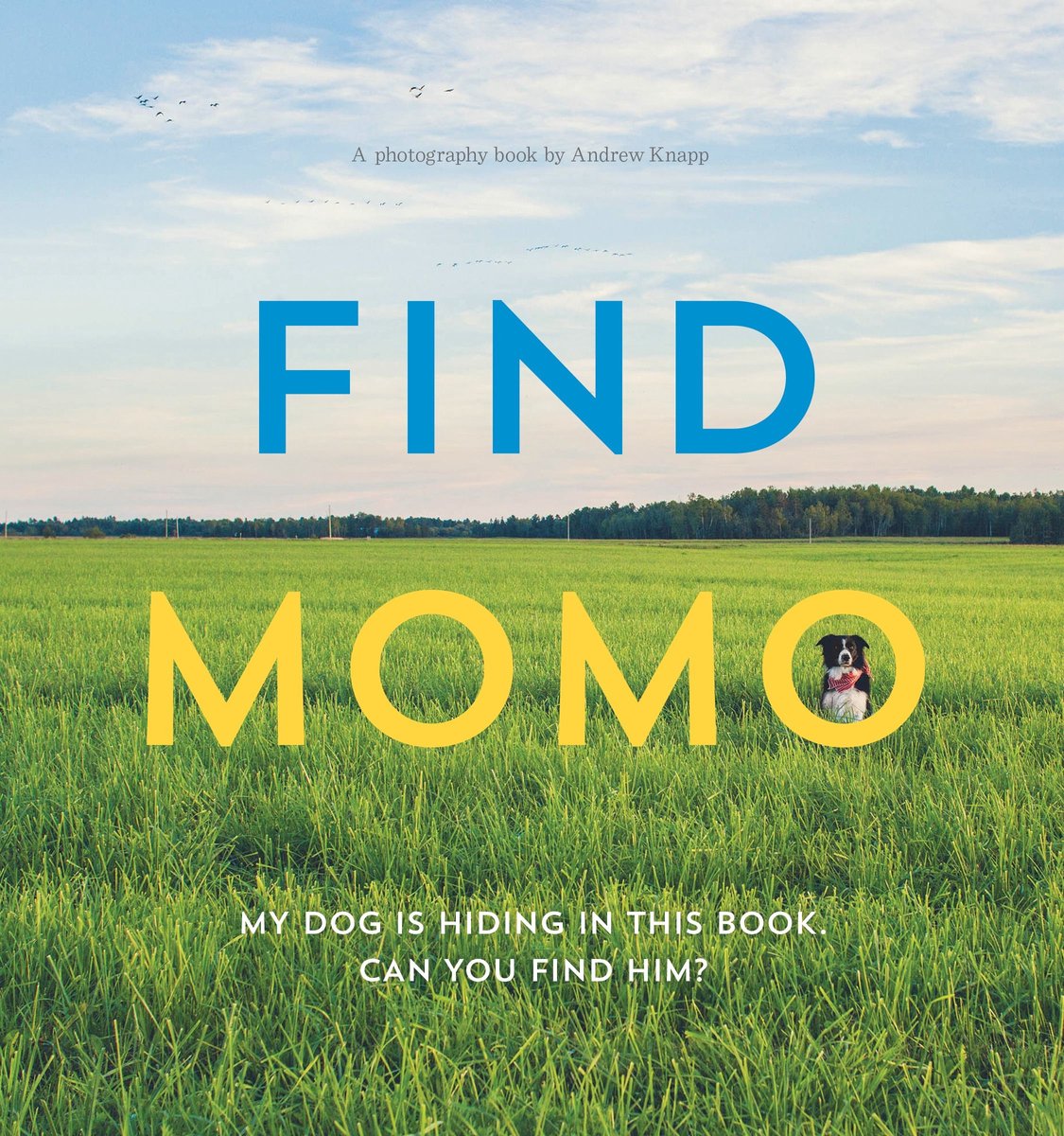 encontrar momo