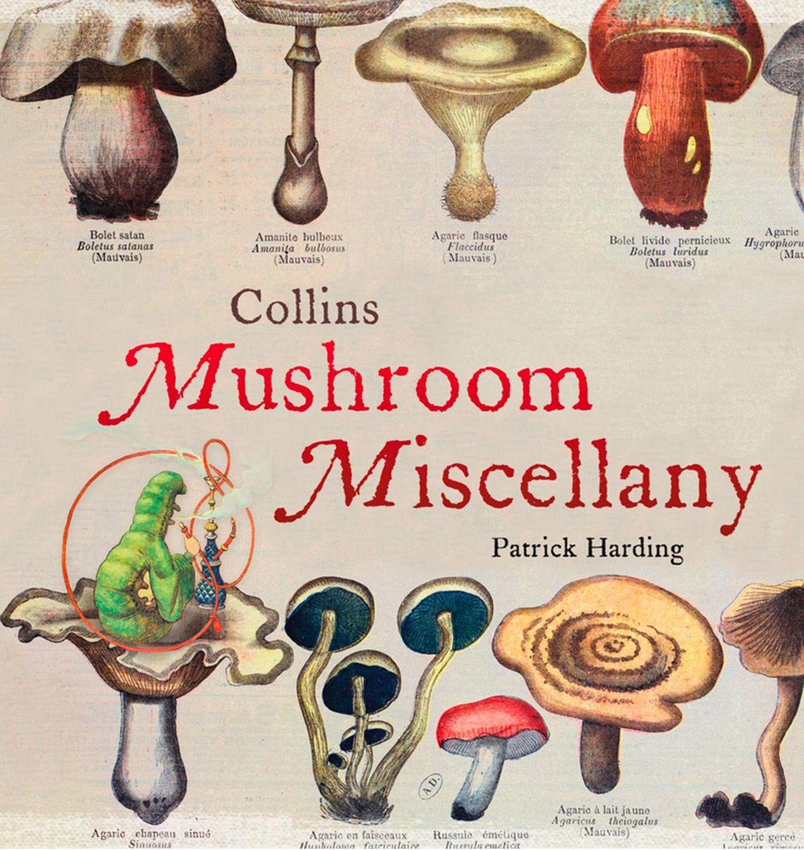 Miscellanea di funghi Collins