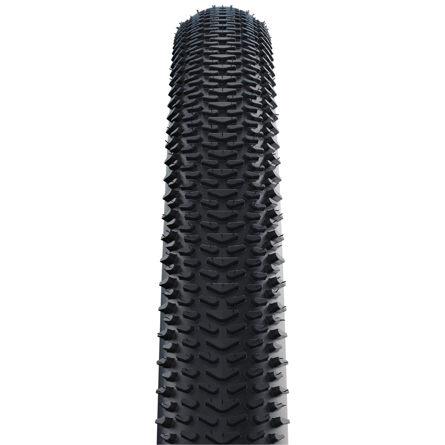 Schwalbe Tire G-One R Evo 28 x 1.70 SW Fold Tlr