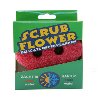 Flor de matorral de esponja superficies delicadas