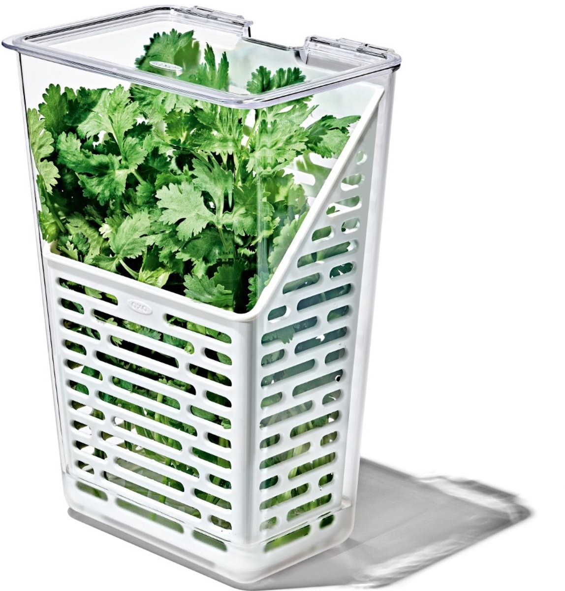 Oxo - caja de alimentos frescos - hierbas