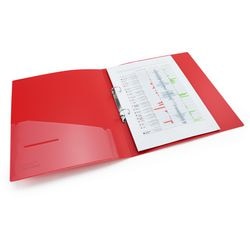 Raccoglitore ad anelli rapesco germ-savvy a4 25mm