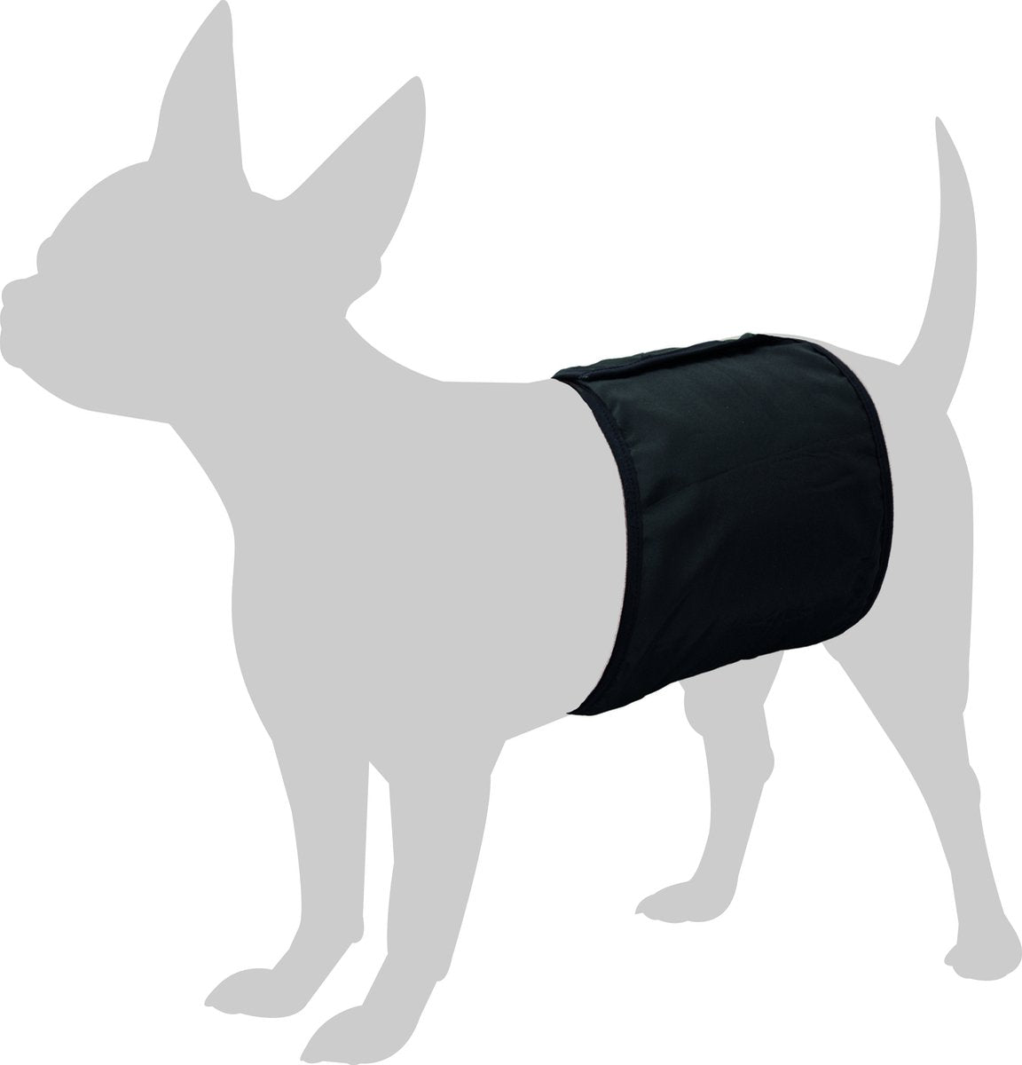Fenicottero