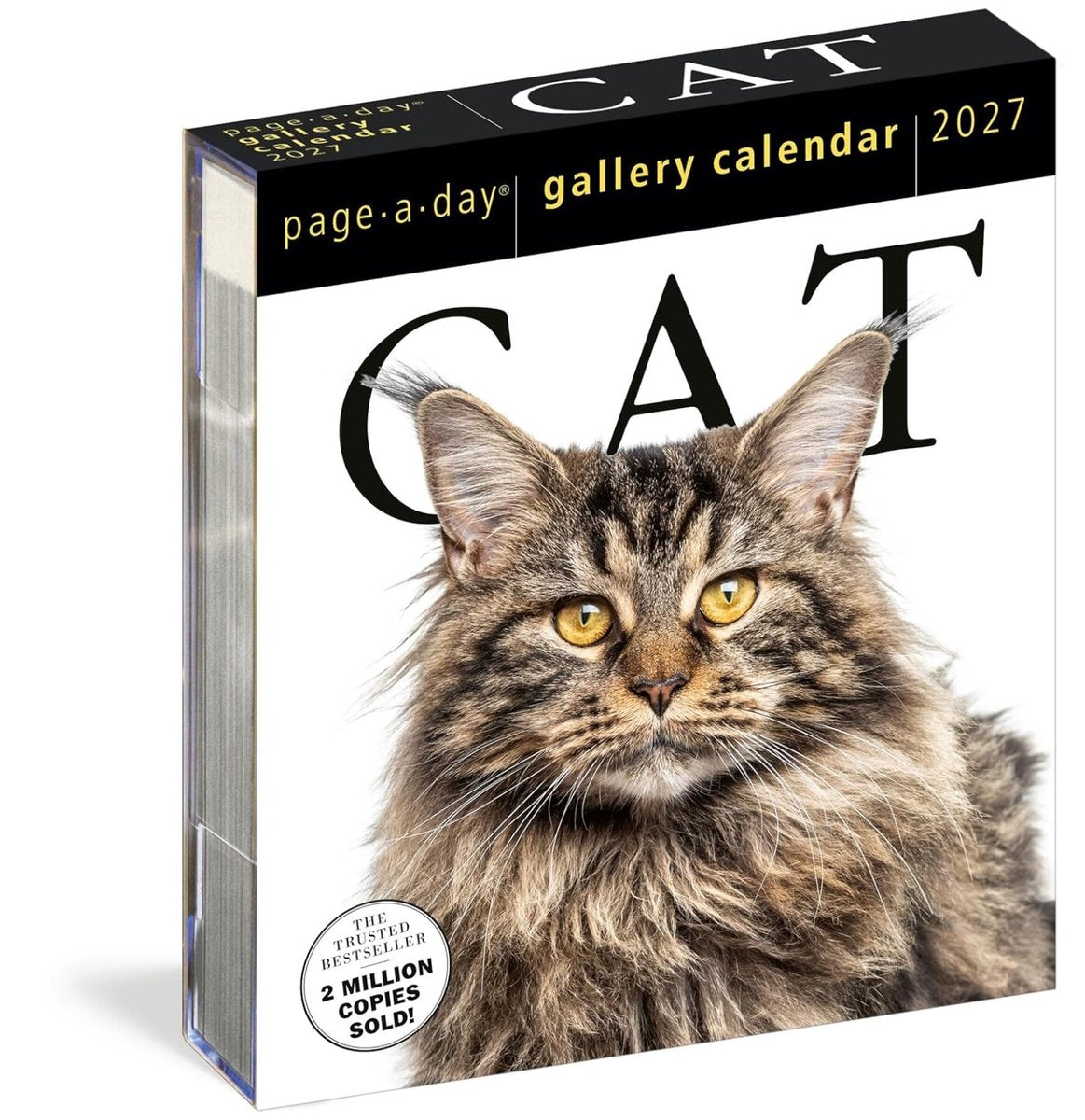 Calendario della galleria Cat page-a-day® 2027
