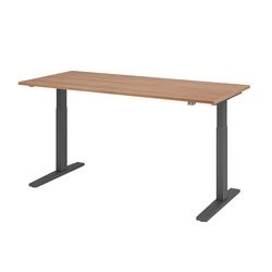 Martello da tavolo Bach sit-stand vxmka19 n g multicolore 1800 x 800 mm