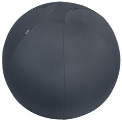 Sitting ball leitz ergo cozy 5279