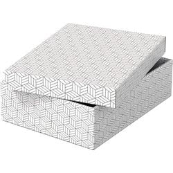 Scatola portaoggetti Esselte 628284 media piatta 9 l bianco