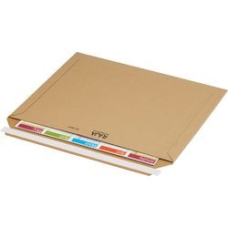 Buste raja pcma4c marrone