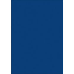 Mazza a lama magnetica 6526137 blu