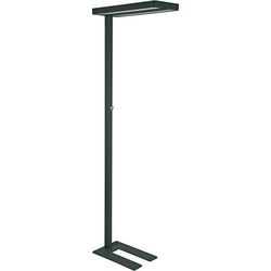 Lampada da terra maul 8258490 mauljaval nera