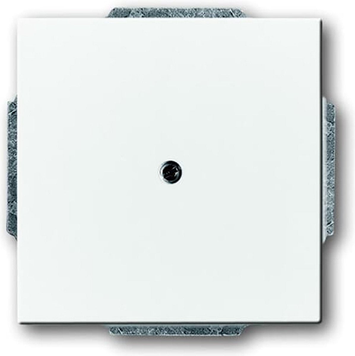 Busch-jaeger abb future solo control element piastra centrale quadro - 2cka001710a3161 - e2eyd