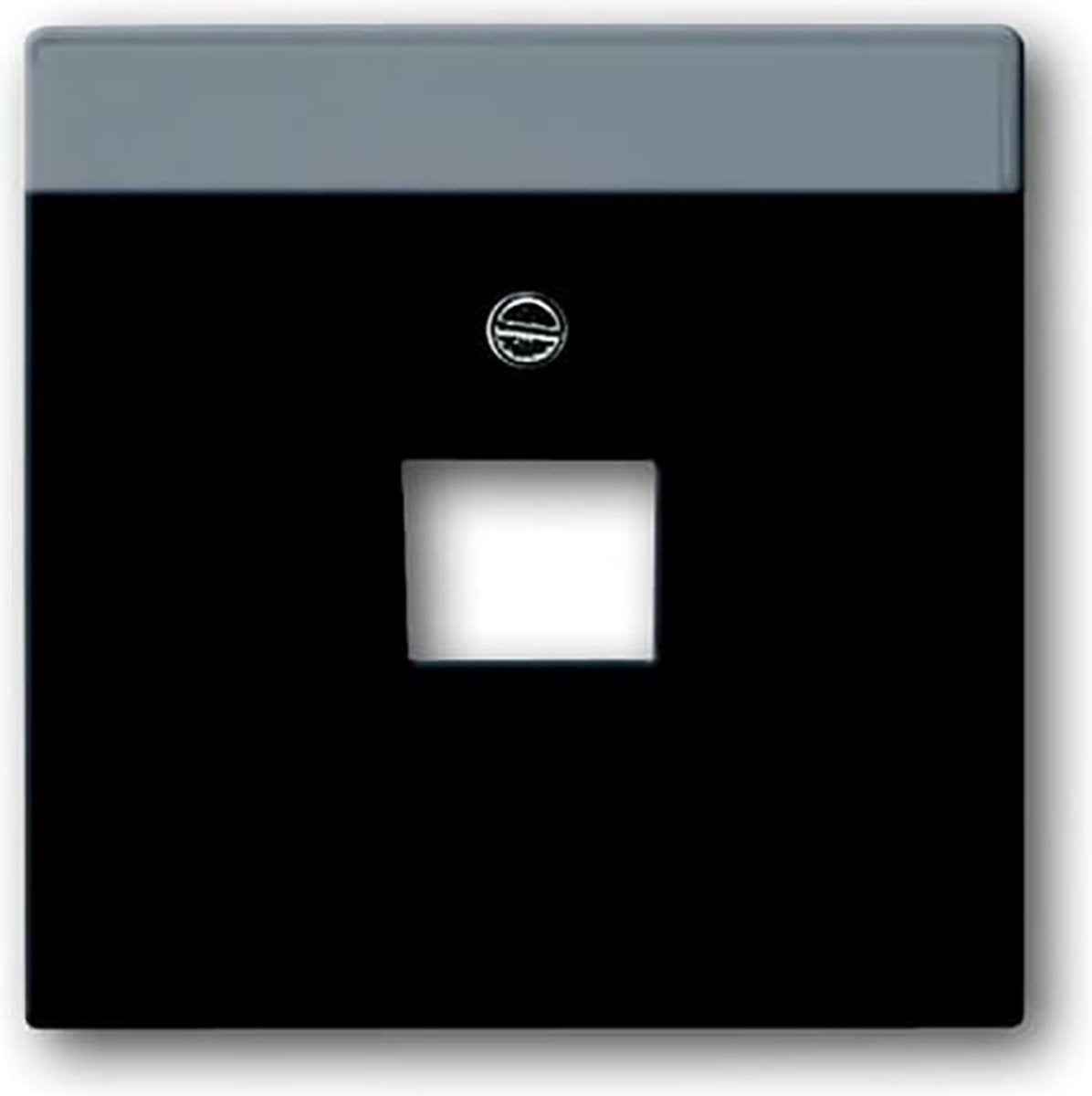 Busch-jaeger busch jaeger future linear afdekplaat 1xrj45 rj11 mat zwart 1803-885