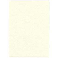 Rilegatura copertina fellowes 5370004 polpa di crema