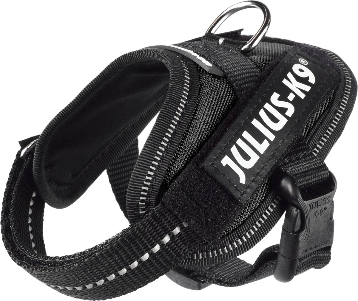 julio k9