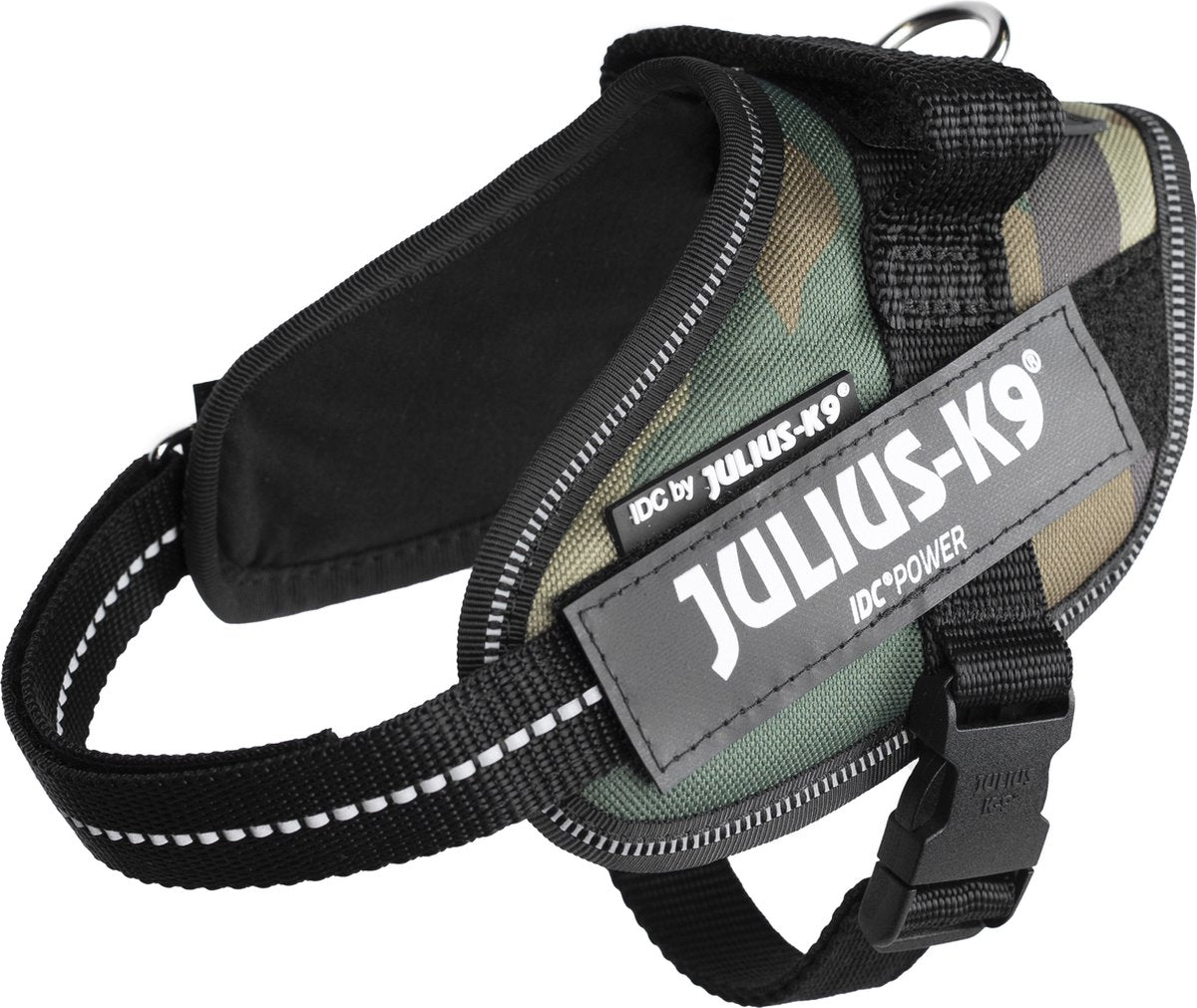 JULIUS K9 IDC IMBARME CHARMAGGIO