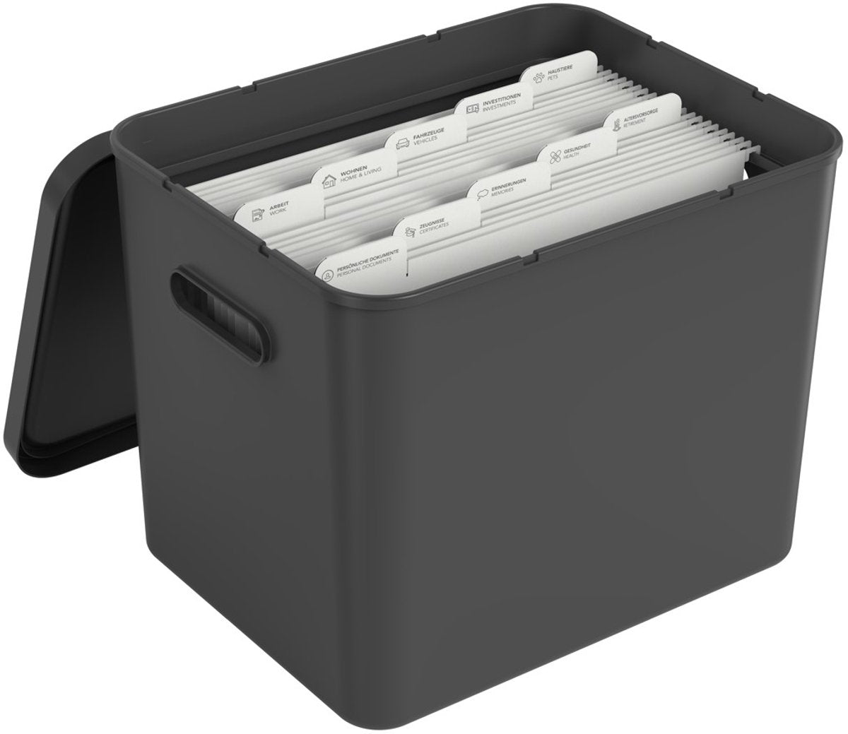 Rotho my paper archive box a4, organizer per documenti con grucce, 40x29,2x29,8 cm, nero