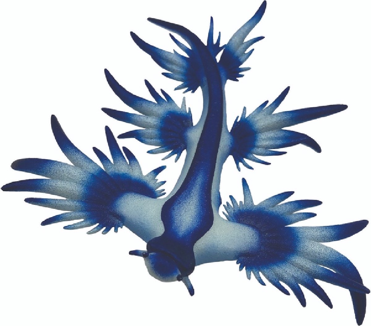 Bullyland lumaca di mare blu_x000d_ (67511)