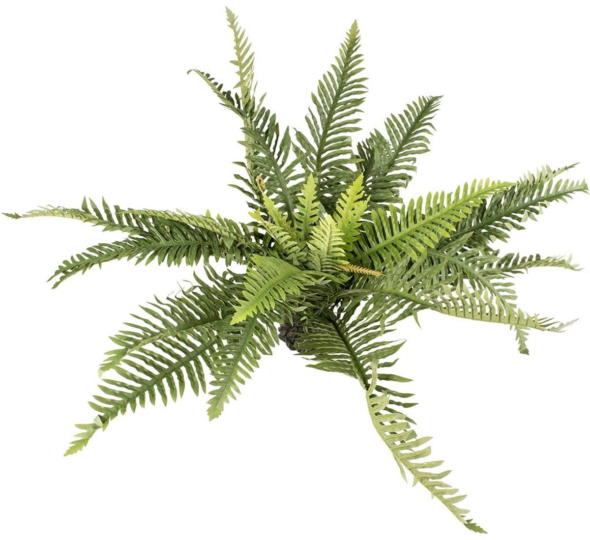 Terra della aqua d'ella planta artificial helecho verde