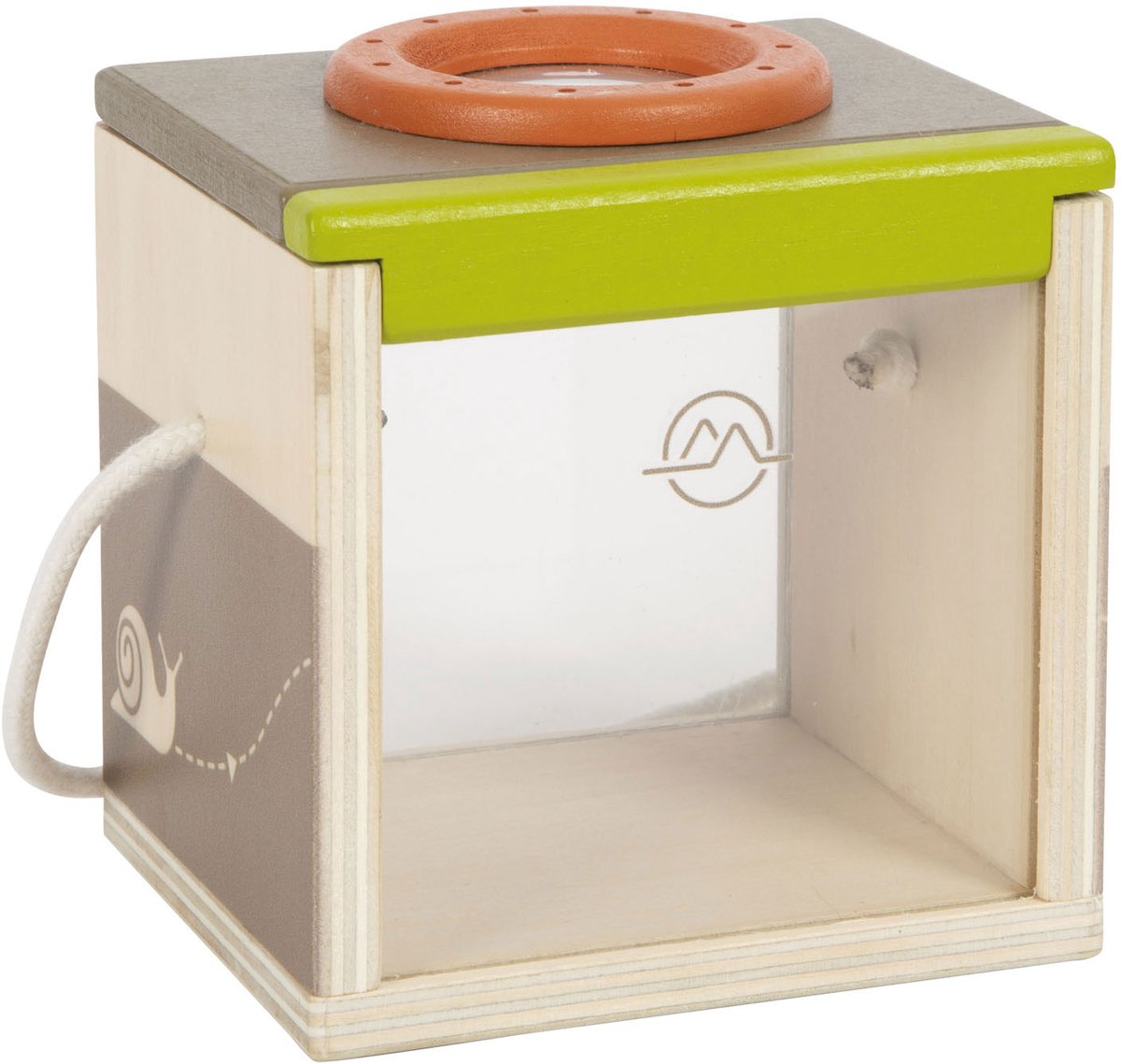 Small foot wooden insect box discover