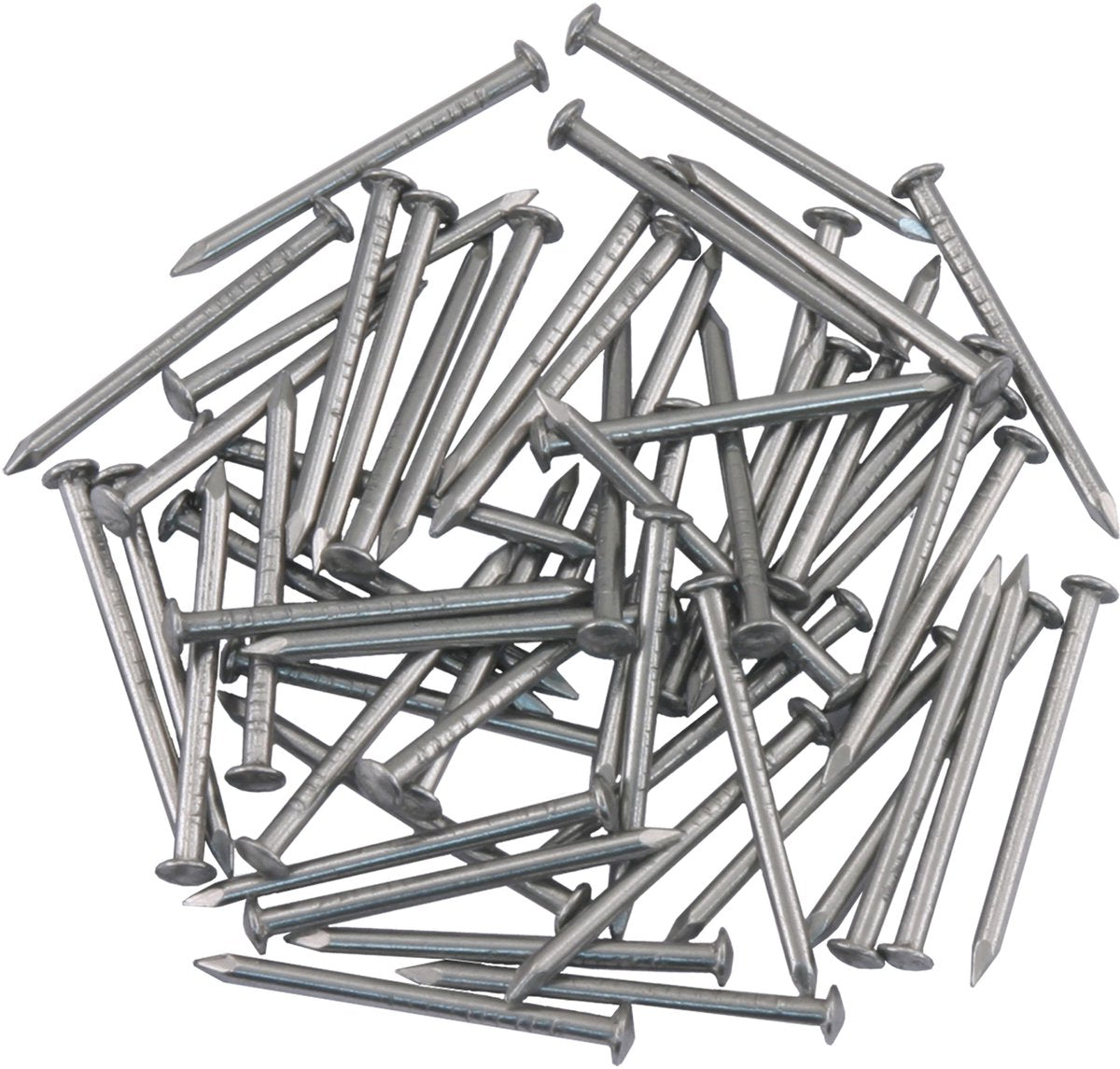 Guarnizione Ellen - nichel - nichel - - chiodo per guarnizione 25 x 1,6 mm nichel
