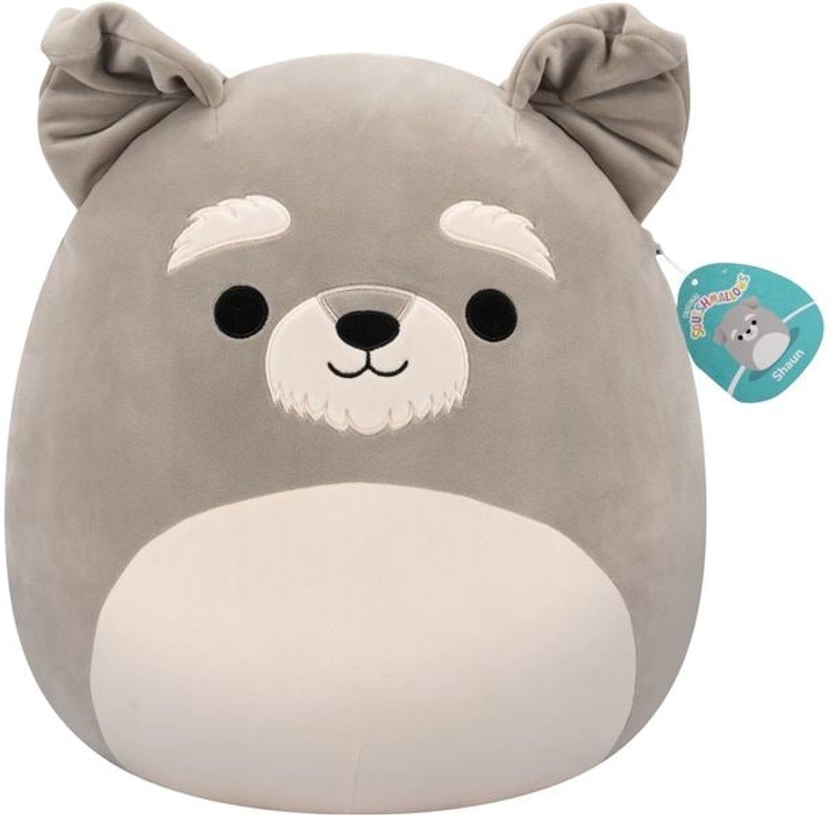 Peluche Squishmallows Shaun Schnauzer - grigio - 40 cm