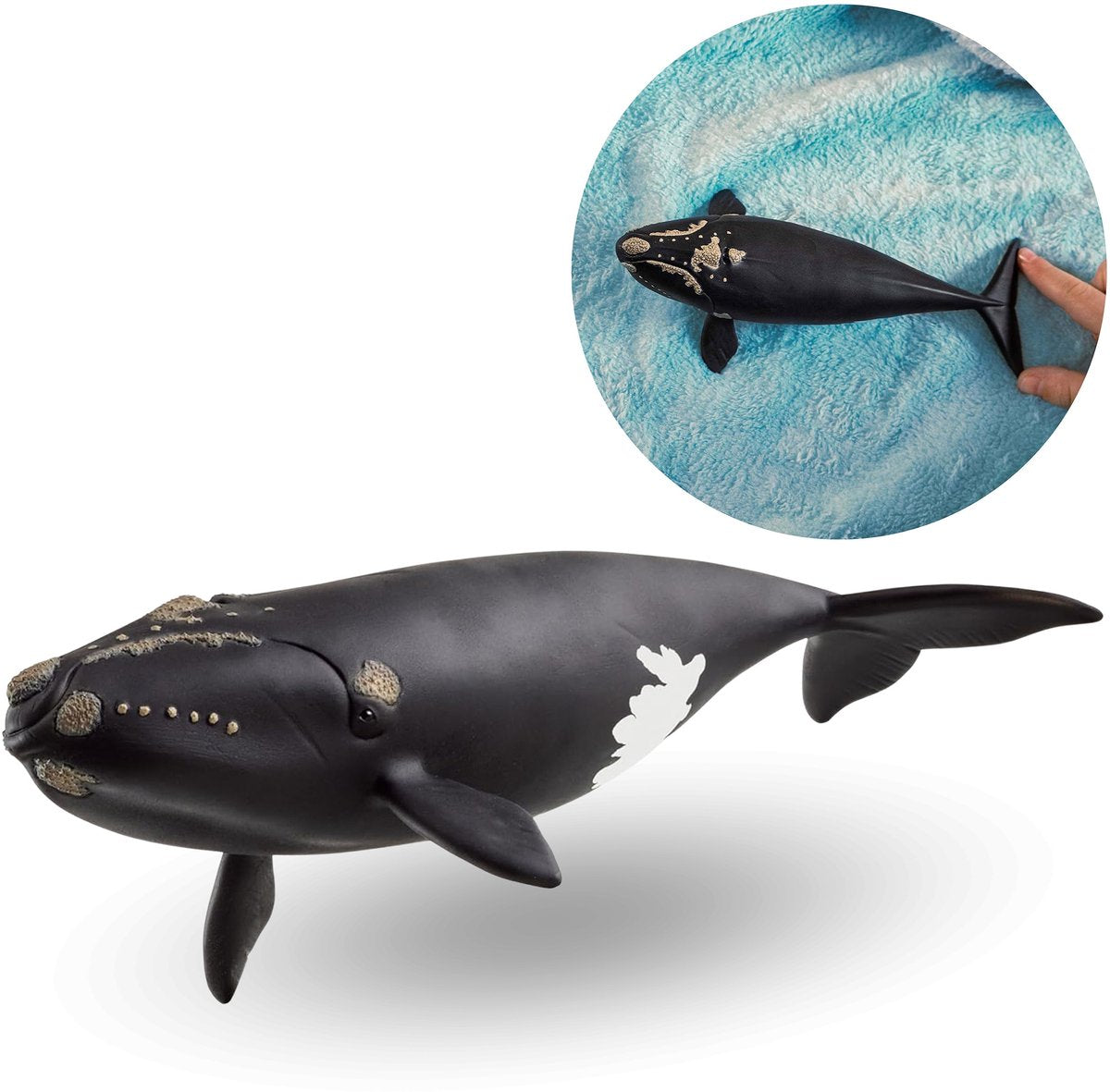 Schleich Wild Life Noordkaper 14878