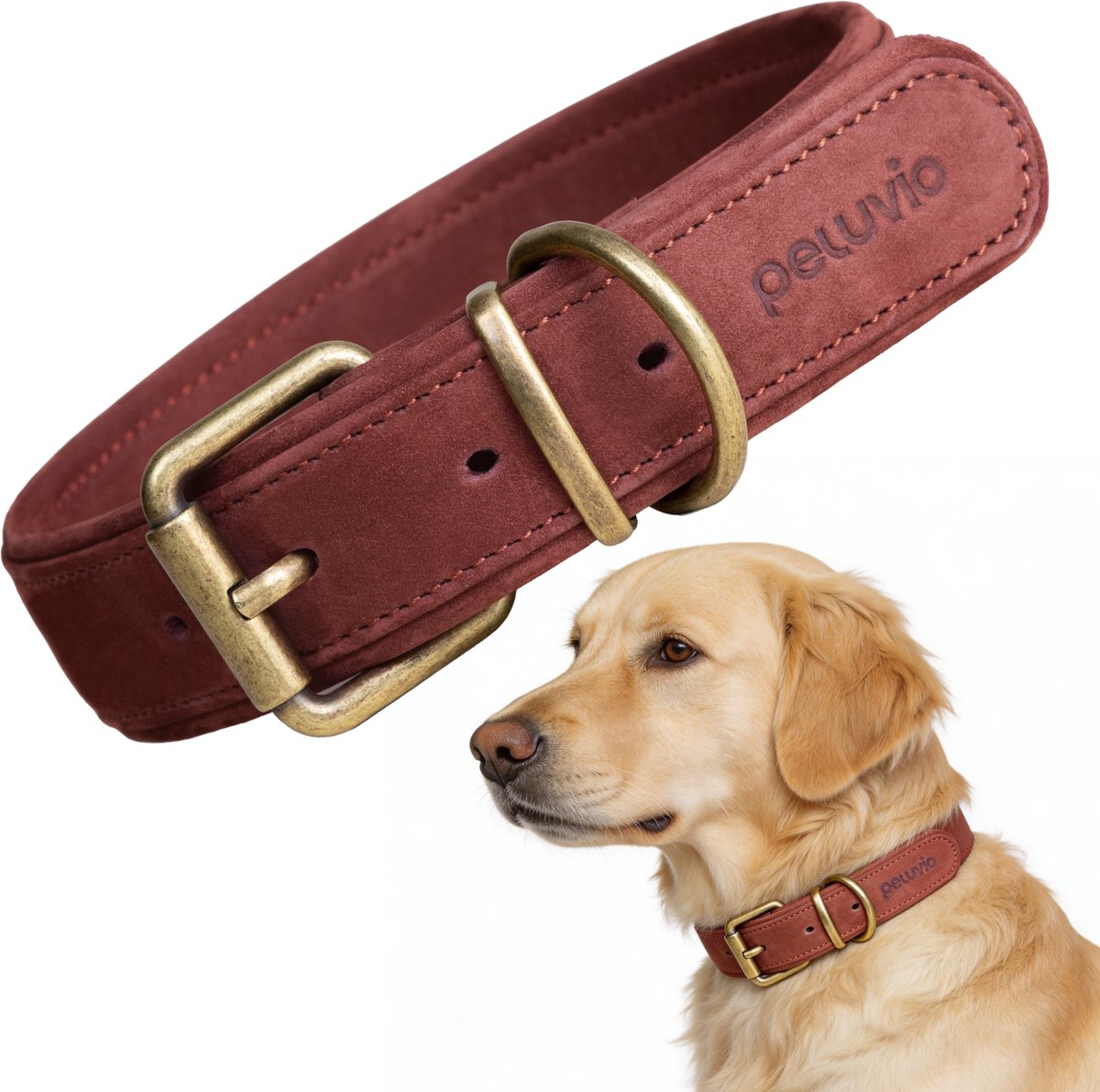 Peluvio rexor – collar de cuero para perros – marrón – largo 44-54 cm – 4 cm de ancho – collar ajustable de piel de vacuno – hebilla de cobre – para perros grandes
