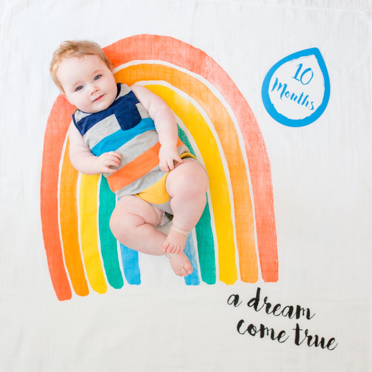 Lulujo baby's first year - swaddle cards - a dream come true