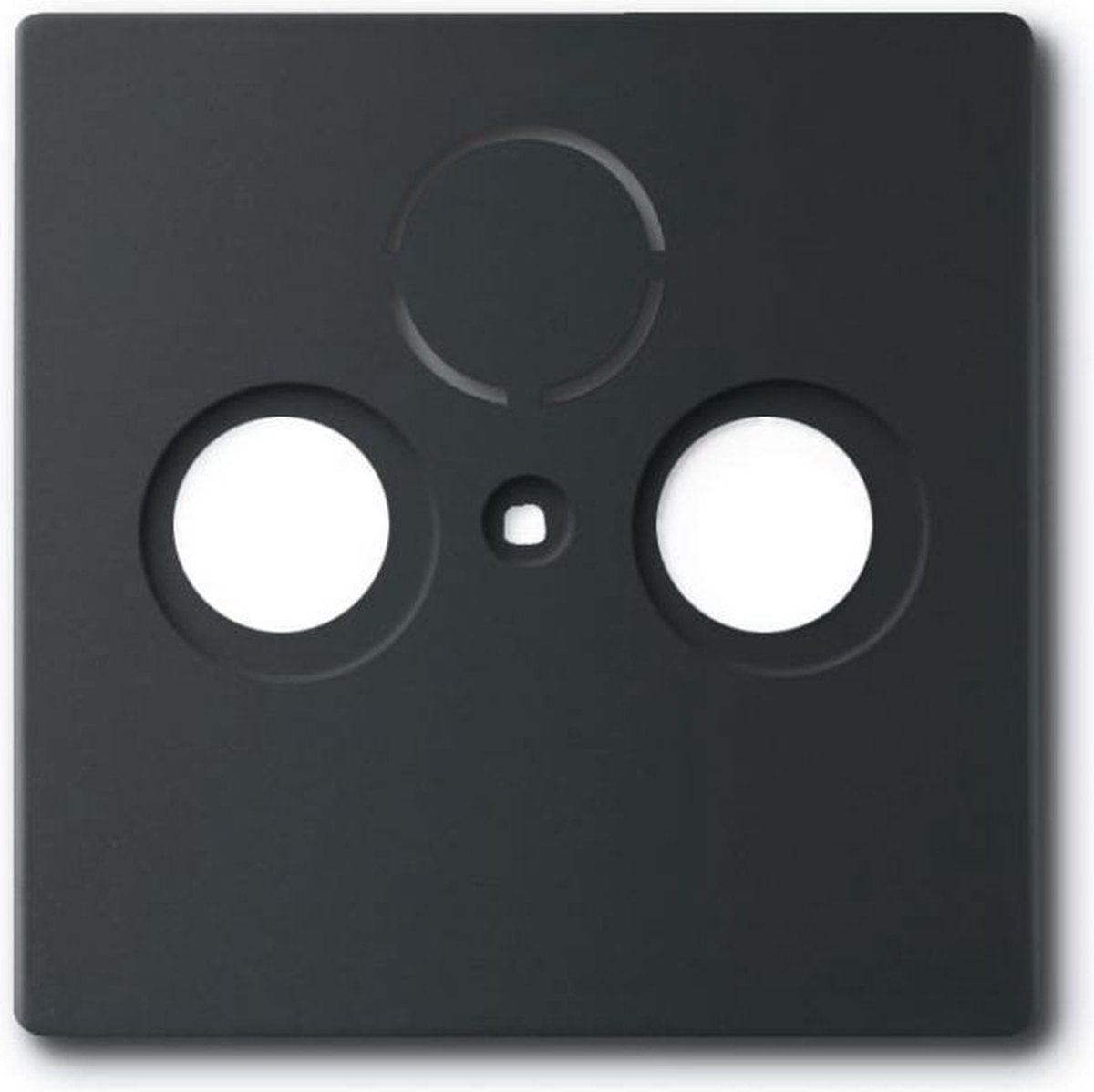 Busch-Jaeger Busch Jaeger Future Linear Placa central Cai Negro mate 1743-885