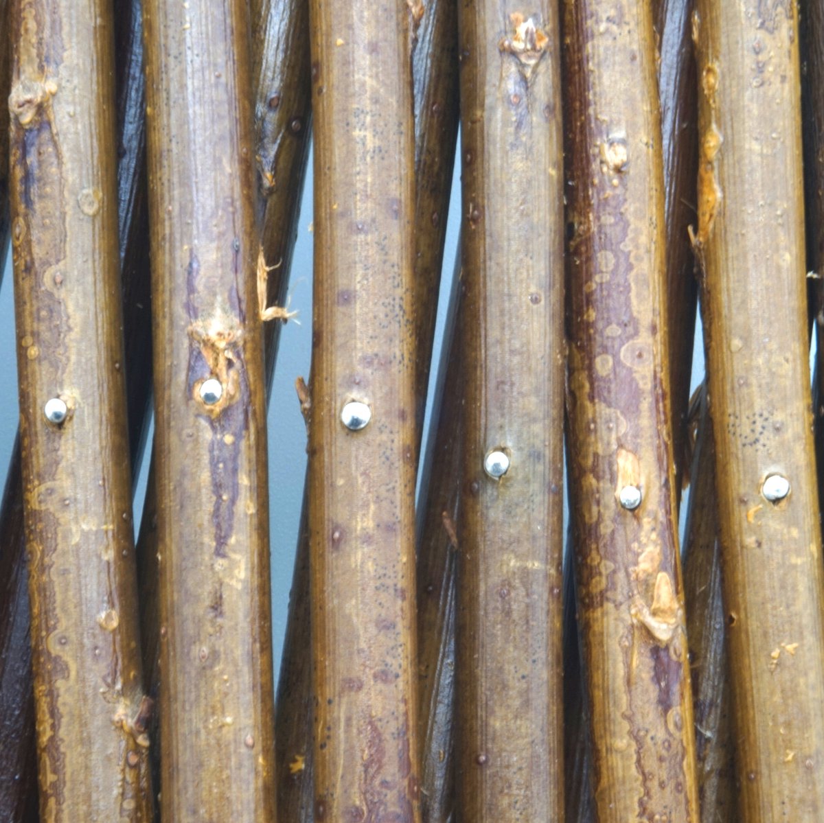 Natura natura latwerk 60x180 cm salici naturali marroni