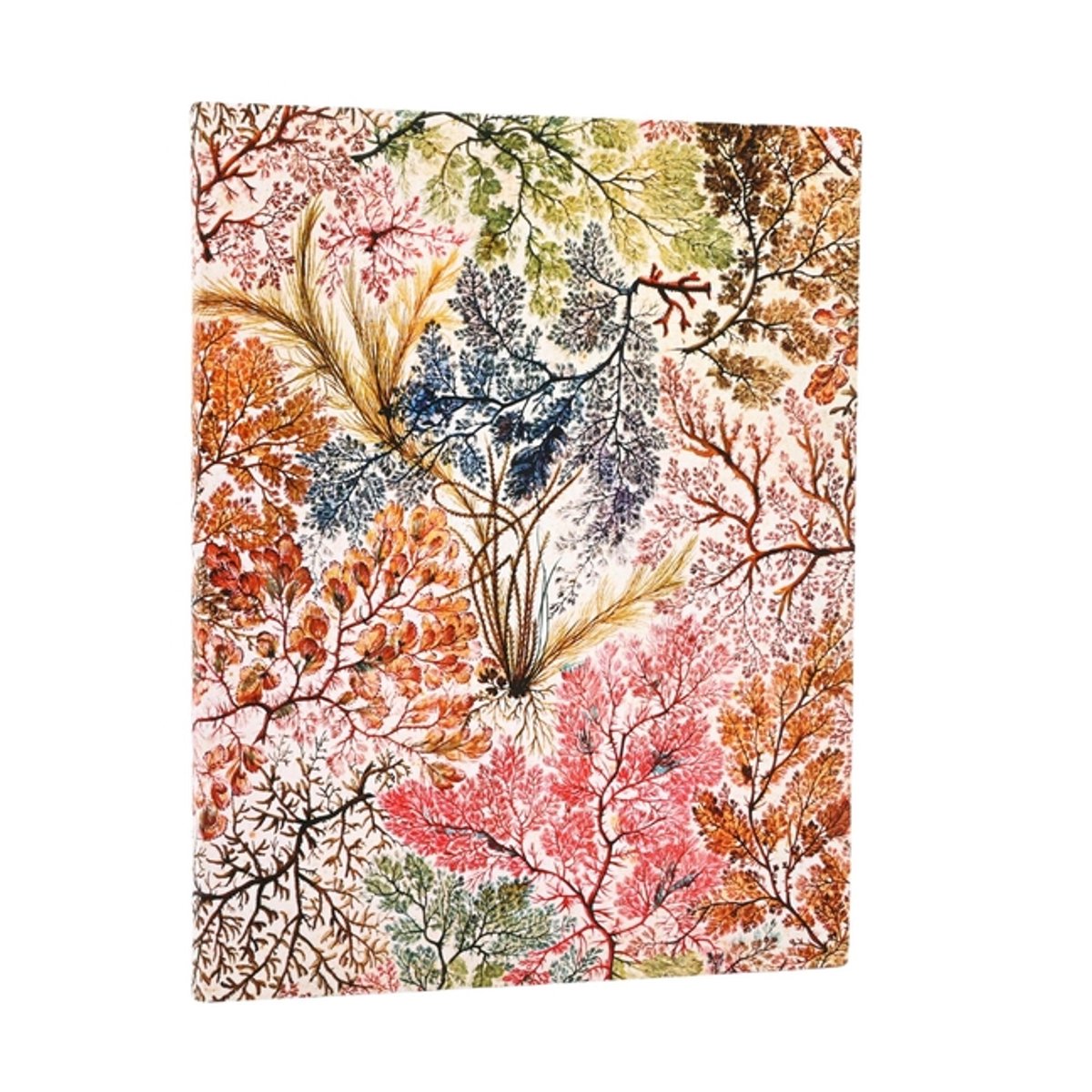 Paperblanks anemone william kilburn softcover flexis ultra lined elastic band 176 pg 100 gsm